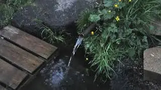 How To Find Natural Spring Water | FindaSpring.Com