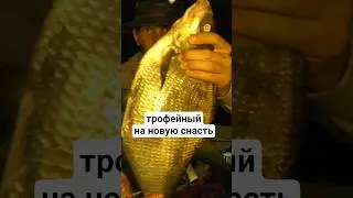 На что способен ФЛЭТ на течении. #рыбалка #рыбалканафидер #fishing #рек #carpfishing