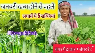 ​जनवरी में ये 5 सब्जियां लगा ली तो 2026 में लखपति बनने से कोई नहीं रोक सकता! जनवरी की 5 अगेती फसलें।