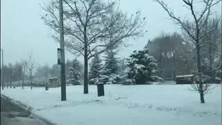 Snowfall Dec 2020 - Toronto