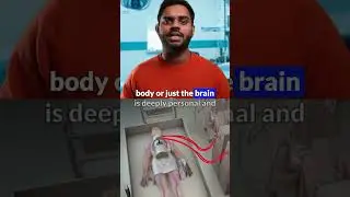 Comparing whole body and brain-only vitrification procedures