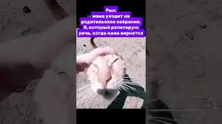 #рил #жиза #прикол #мем #shorts