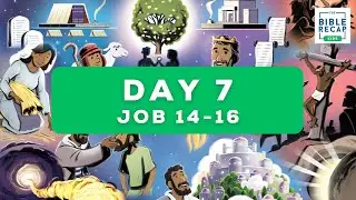 Day 7 (Job 14-16)