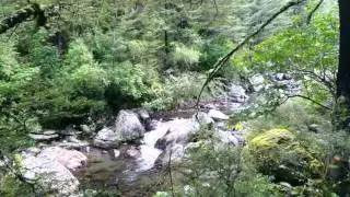 Sharplin Falls