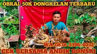 Obral 50k dongkelan terbaru cek bersama mas andik 📲0838-3396-4032