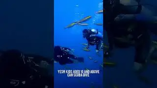 #templeadventures | #scubadiving | #pondicherry | #india