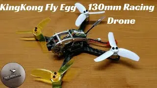 KingKong Fly Egg 130mm Racing Drone