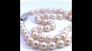 Perlenkette 50cm  Akoyaperlen 8-7.2mm Wei&szlig;gold 750 18 Karat