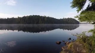 5 Day Algonquin Canoe Trip 2021 Part 2 - Head Lake - Little Island Lake - Mushrooms - Beaver Dams