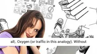 Best Traffic Software Review
