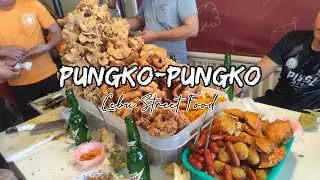 PUNGKO-PUNGKO SA FUENTE, CEBU CITY