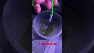 Emptying the protein skimmer (deltec SC2560) #keepitclean #reeflife #fishtank #fishaquarium #foryou