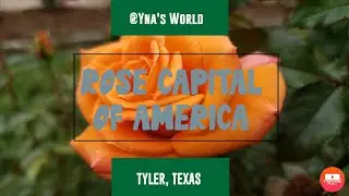 ROSE CAPITAL OF AMERICA, TYLER ROSE GARDEN, TEXAS