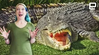ICYMI: Reptile robots in the wild