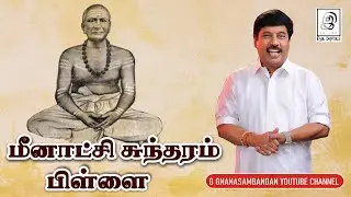 மீனாட்சிசுந்தரம் பிள்ளை  | Meenakshi Sundaram Pillai