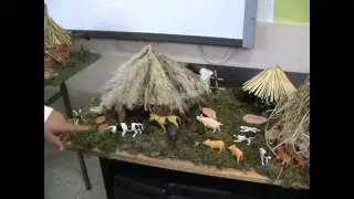 CASTREXOS NOVO3