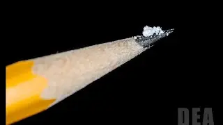 Trump declares fentanyl a weapon; Hawaii overdose deaths rise