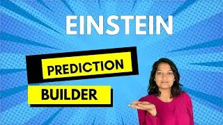 Salesforce Einstein Prediction Builder : Real time project demo of Einstein Prediction Builder