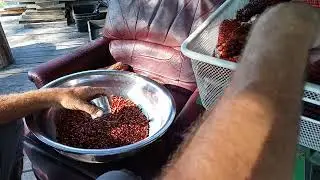 Shelling my home grown Jimmy Red corn 9/27/25
