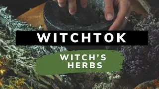Witchtok : Herbs in Witchcraft