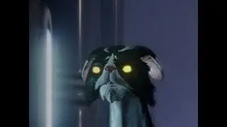 Warframe: Kavat Sense Danger Mod Bug
