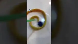 Oral Motor - Sensory Activity