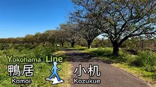 【JR横浜線 #15】鴨居駅から小机駅まで散歩／Take a walk from Kamoi Station to Kozukue Station