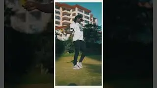 What can we call this dance Style?! #dancegeneral