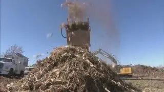 Christmas Tree Pickup