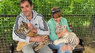 Крым Парк Львов Тайган - самый шикарный однозначно! Сентябрь 2022 года.