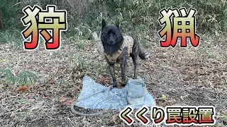 【甲斐犬春虎チャンネル】くくり罠設置