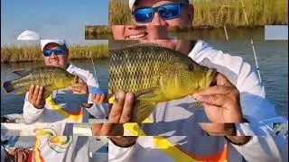 MARAVILHAS DO RIO CUITO