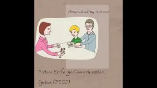 Picture Exchange Communication System(PECS)