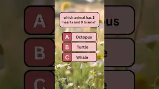 Which animal has 3 hearts and 9 brains? #quiz #knowledgeable #english #mindbendingquiz