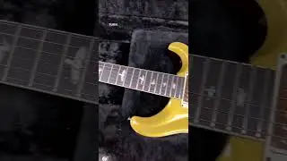 PRS McCarty Goldtop - Is It Worth The Investment?