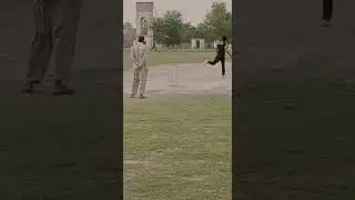 jalat khan lahore qlander #lahoreqalandars #jalatkhan #hardball #viral