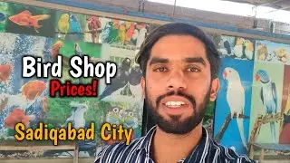 Visiting Bird Shop in Sadiqabad City / Price Details