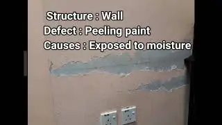 Building Inspection