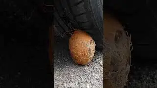 Car vs Coconut #test