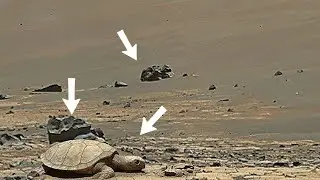 НАСА опубликовало самые шокирующие 360&deg; 4K-кадры Марса, когда-либо снятые: окаменевшая черепаха н...