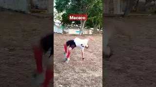 3 trucos faciles de acrobacias / 3 easy acrobatics tricks #tutorials #acrobatics #parkour