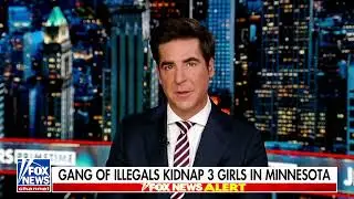 Horrific crime uncovered in Minnesota, 11 illegal alien suspects