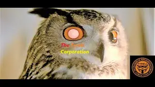 Tyrell Corporation Explained | Blade Runner (1982)