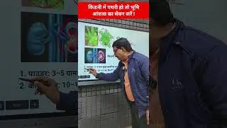 भूमि आंवला से किडनी की पथरी खत्म? आयुर्वेद क्या कहता है | Kidney Stone Ayurvedic Treatment |