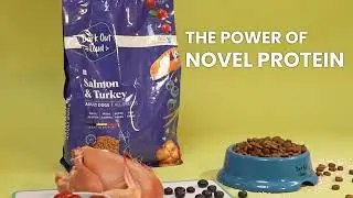 Bark Out Loud Salmon & Turkey - Premium Dog Food