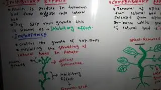 Growth correlation
