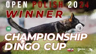 Open Polish Championship / Katarzyna Grzesiak-Kopec / Totti Albus Habitat / working-dog / Obedience