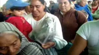 cardonal 2