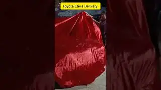 #shorts #carcastle #dreamplant . Car Delivery to Customer