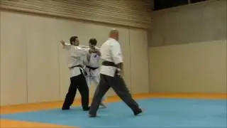 Présentation de technique de Ki Shin Taï